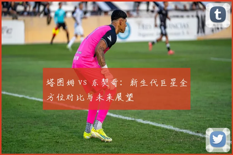 塔图姆 vs 东契奇：新生代巨星全方位对比与未来展望